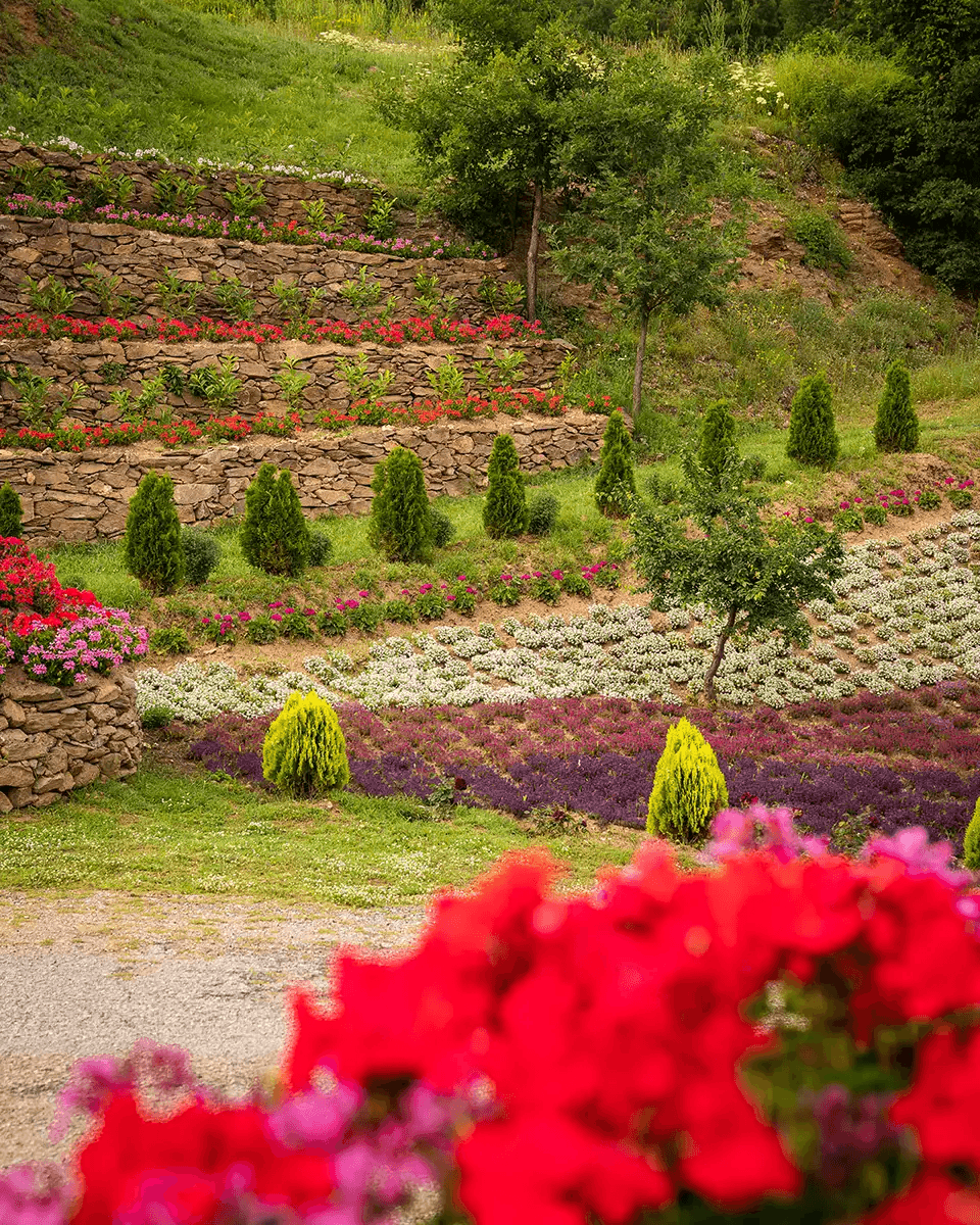 Посещение на етно селище Долене - Image 3 of 4