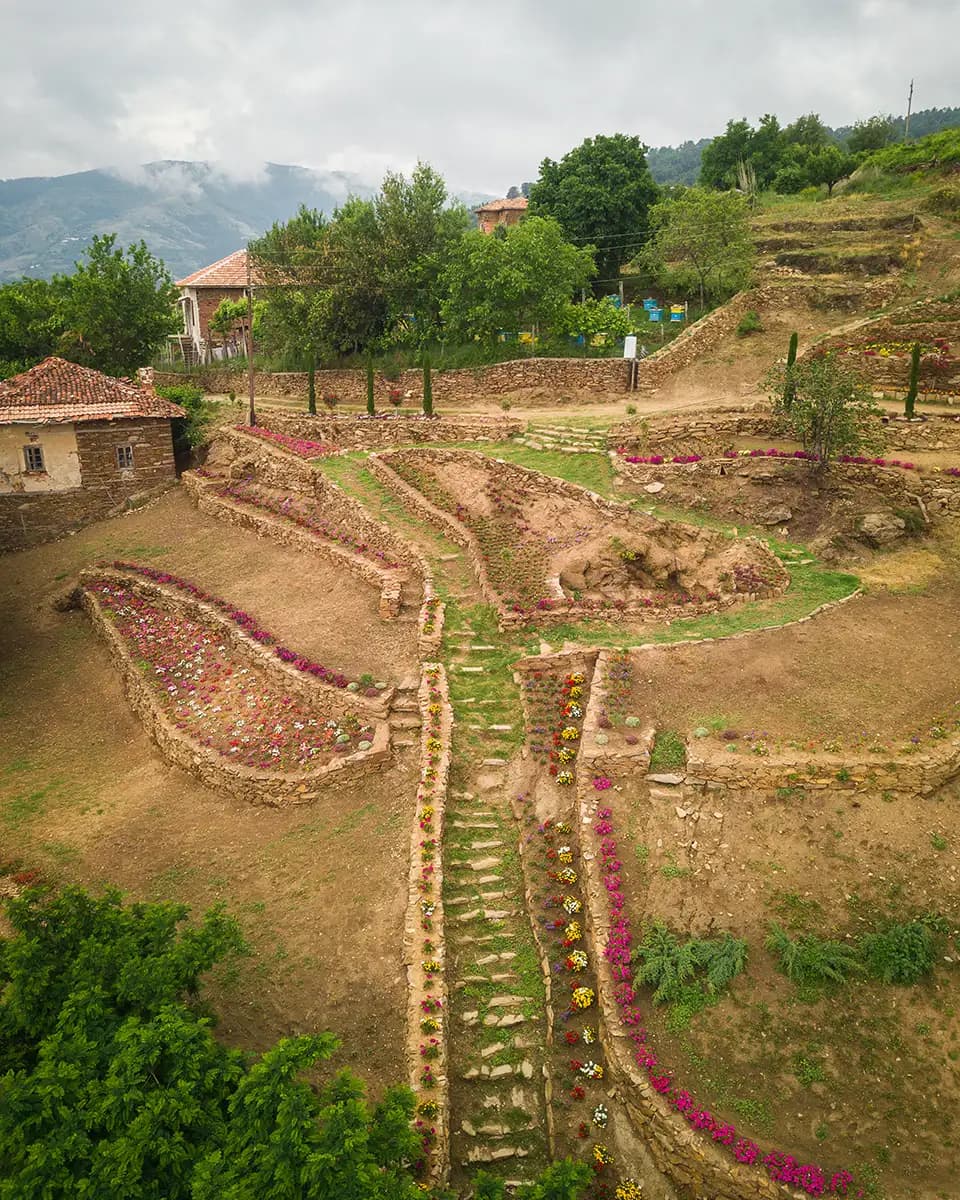 Долене - Папрата