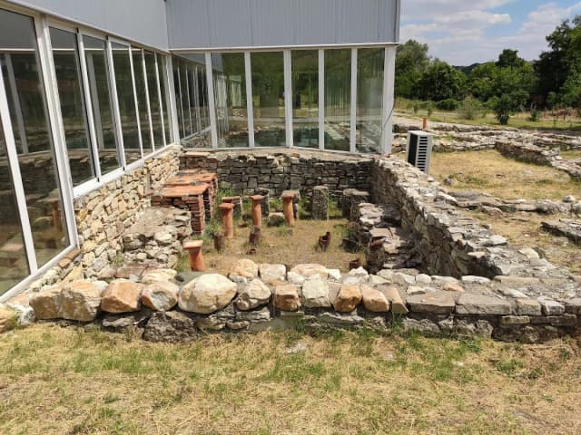 🎫 Купи билет